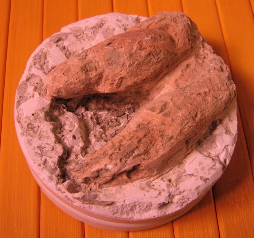 Come rilevare le impronte?